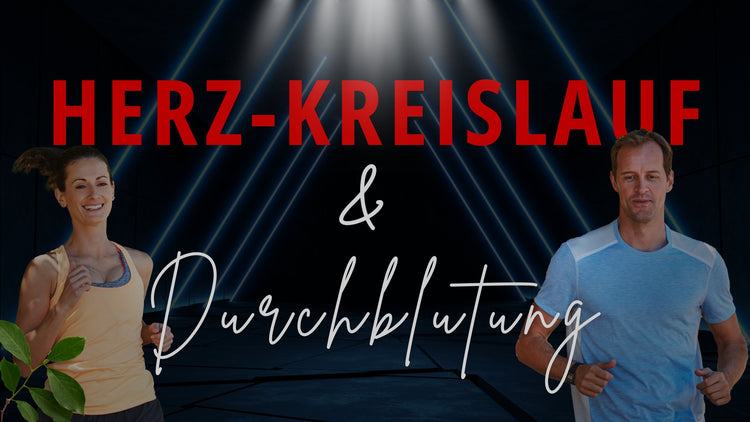 Herzkreislauf & Durchblutung