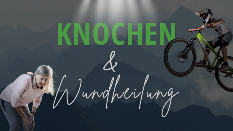 Knochen & Wundheilung